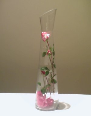 A quick idea to use your roses in a vase that looks really good